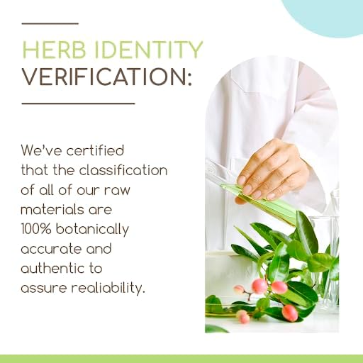 Cleavers B120 Alcohol-Free Herbal Extract Tincture, Concentrated Liquid Drops Natural Cleavers (Galium aparine) Dried Herb (4 fl oz)