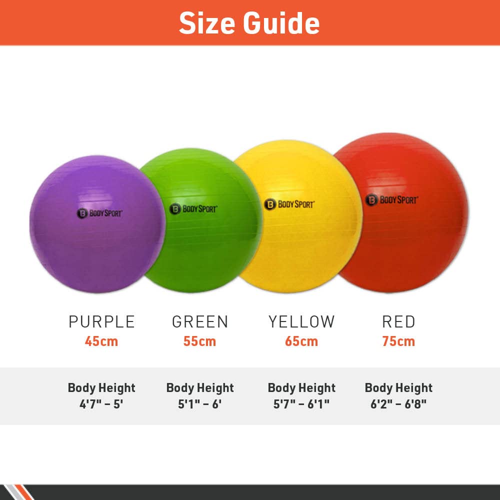 Body Sport Slow Release 55cm Exercise Ball with Pump, Gym Equipment for Home or Office, Stability Fitness Ball, Pregnancy Ball, Core Strength Training Equipment