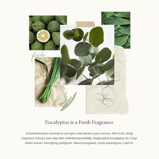 Thymes Bubble Bath - 11.5 Fl Oz - Eucalyptus