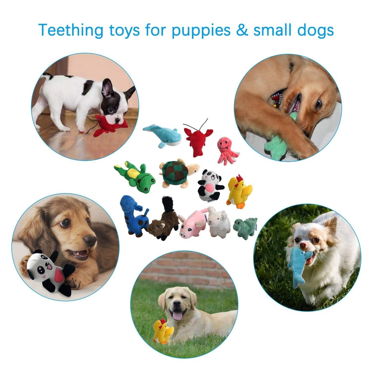 LEGEND SANDY Squeaky Plush Dog Toy Pack for Puppy, Small Stuffed Puppy Chew Toys 12 Dog Toys Bulk with Squeakers, Cute Soft Pet Toy for Small Medium Size Dogs