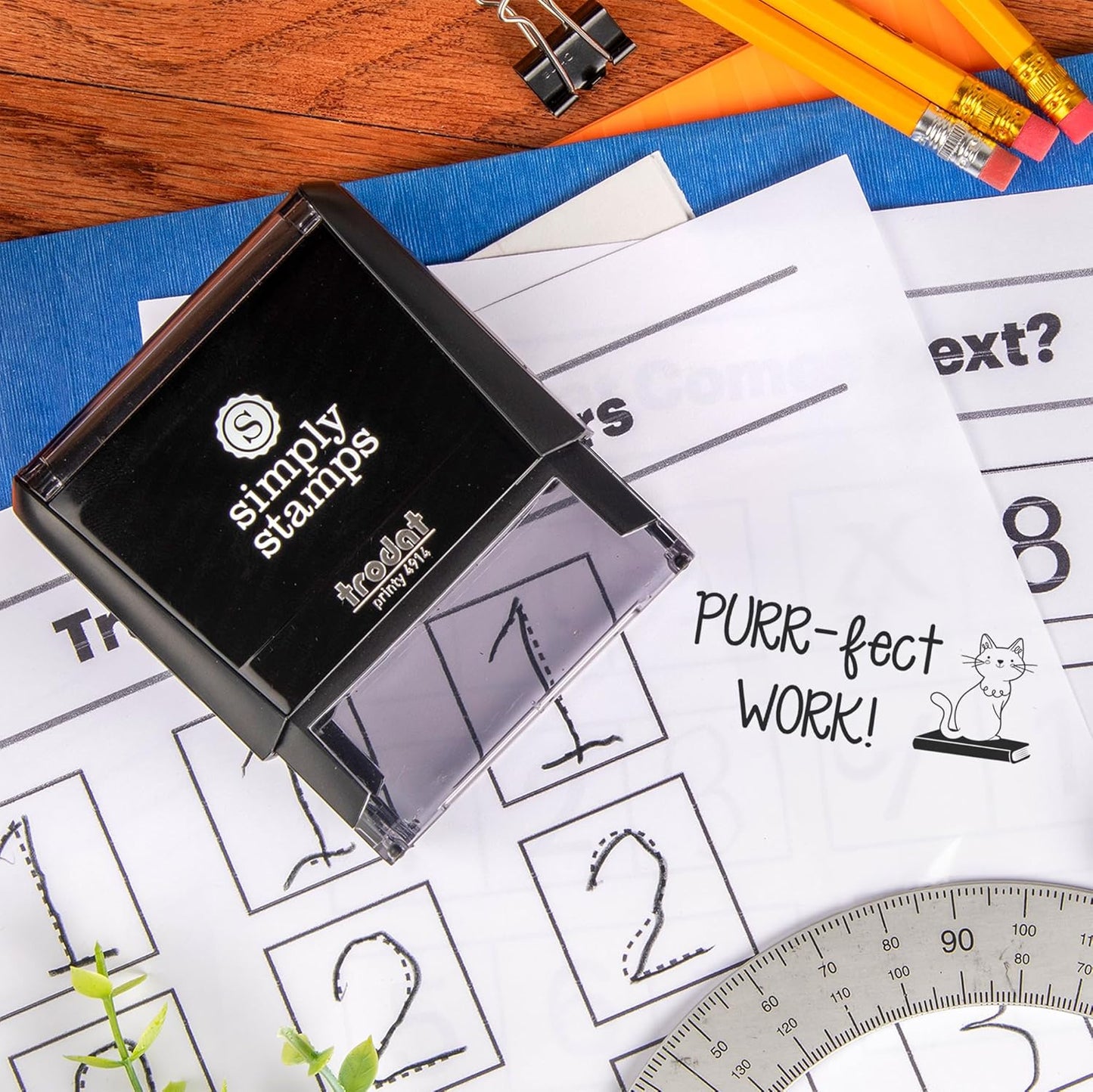 Custom Self-Inking Stamps | 49 Designs | Fun Phrases | Make Grading Easy | Classroom & Library Book Stamps (Purr-FECT Work! Xtra Wide)