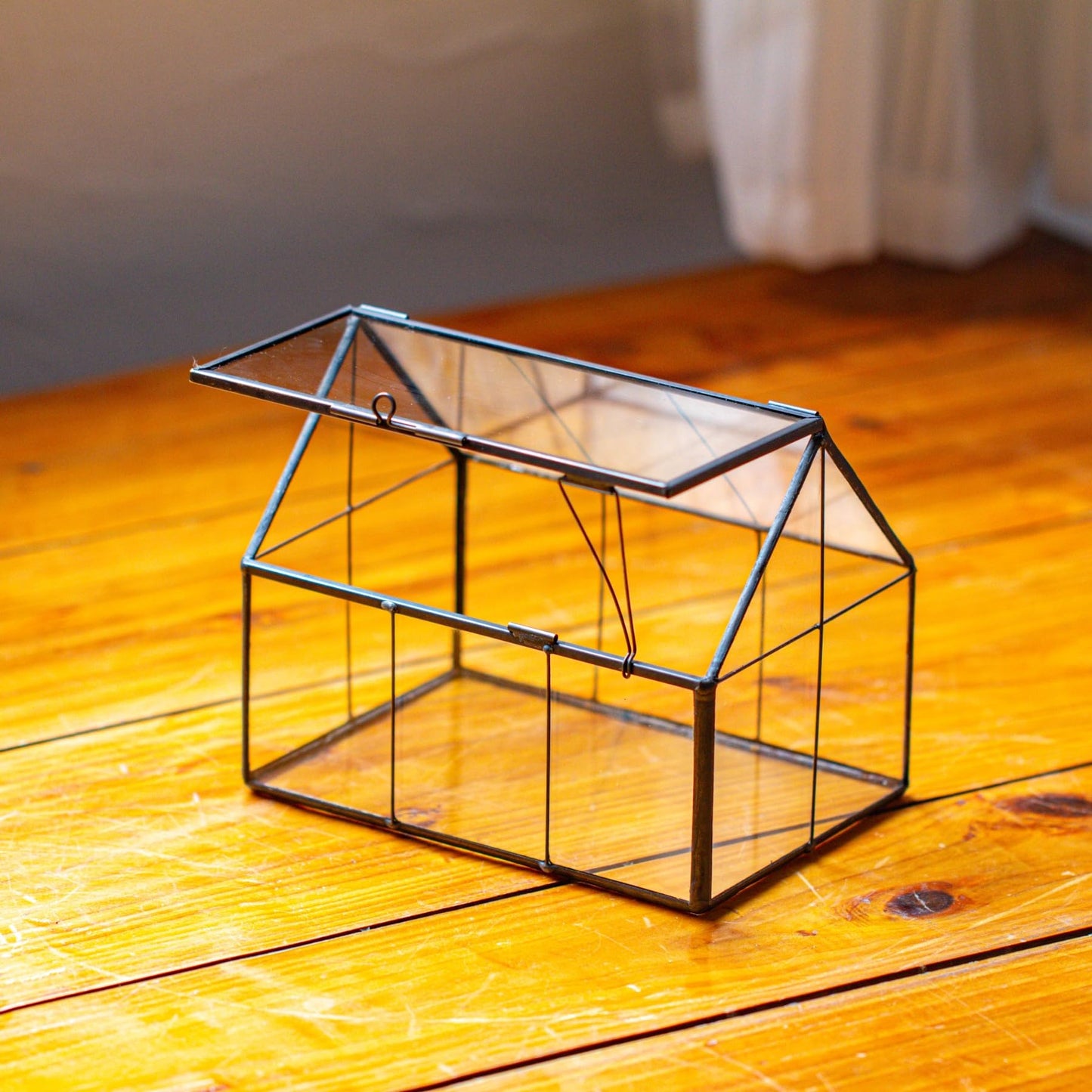 NCYP Mini Glass Terrarium with Lid - 6.1" x 4.25" x 4.92" House Shape Closed Planter Pot for Small Cactus, Succulents Plant - Home Garden Office Tabletop Geometric Decor, Black (Terrarium Only)