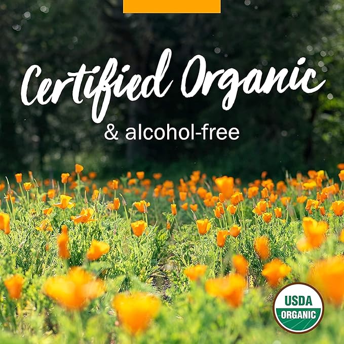 Herb Pharm Certified Organic Angelica Root Liquid Extract for Digestive Support, 1 Fl Oz