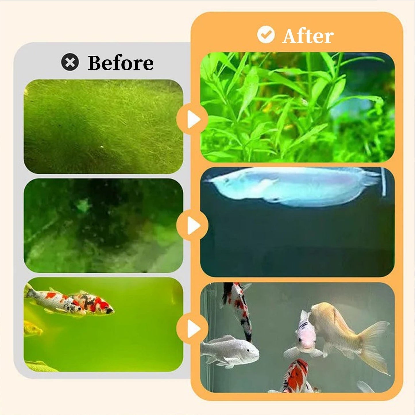 Aquarium Algae Moss Remover, Fast-Acting Safe for Fish Plants Tank Cleaner, 200ml Liquid Formula Prevents Future Growth, All Tank Sizes Water Treatment Solution, Fish Tank Cleaner
